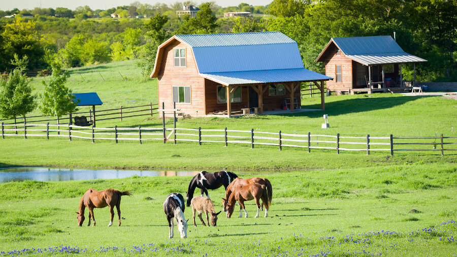 Southeast Tennessee Homes for Sale & Real Estate Mountain Man Real Estate