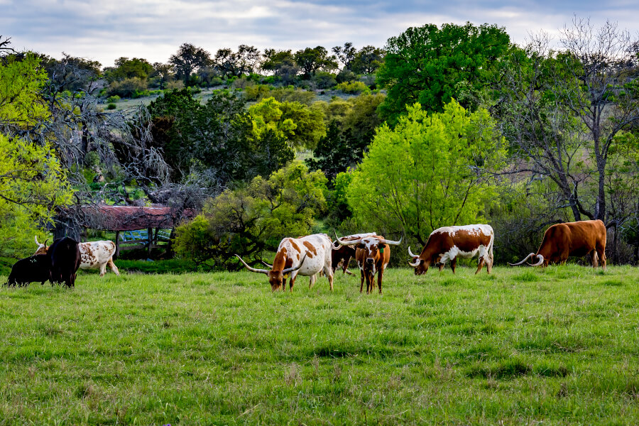 Search Homes with our interactive map search
